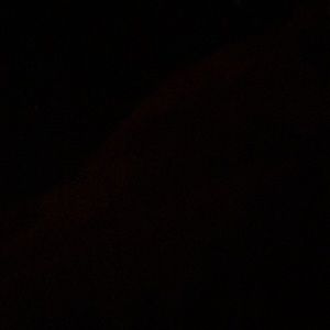 Meet your Posher, Jerry